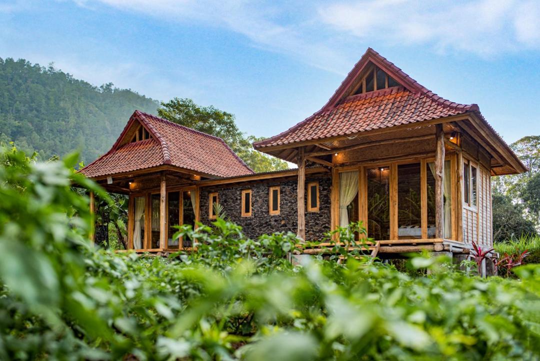 Pondok Manoka Kintamani Екстериор снимка
